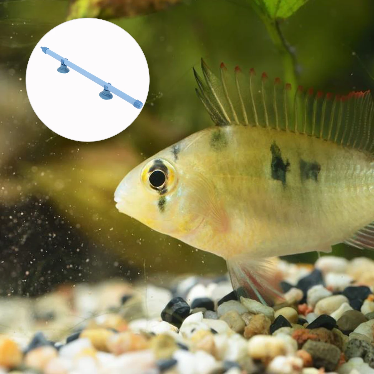 

10- Air Stone Tube For Fish Tank Aquarium Durable Plastic Rubber Build Cuttable With Connector 2 Suction