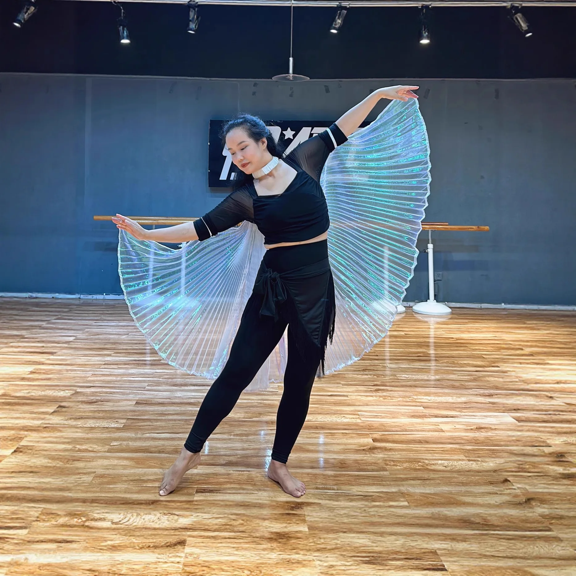 Belly Dance เสื้อผ้าตกแต่งด้านหลังปีก Hand Hook สไตล์ปีกโปร่งใส Wing Dance Performance ProPerformance อุปกรณ์เสริม