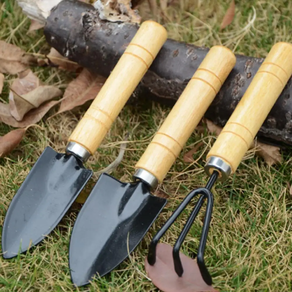 

3Pcs Mini Garden Tool Set Garden Digging Weeding Tool for Garden Plants Flower Pot Cactus Vegetables Indoor Small Plants Tools
