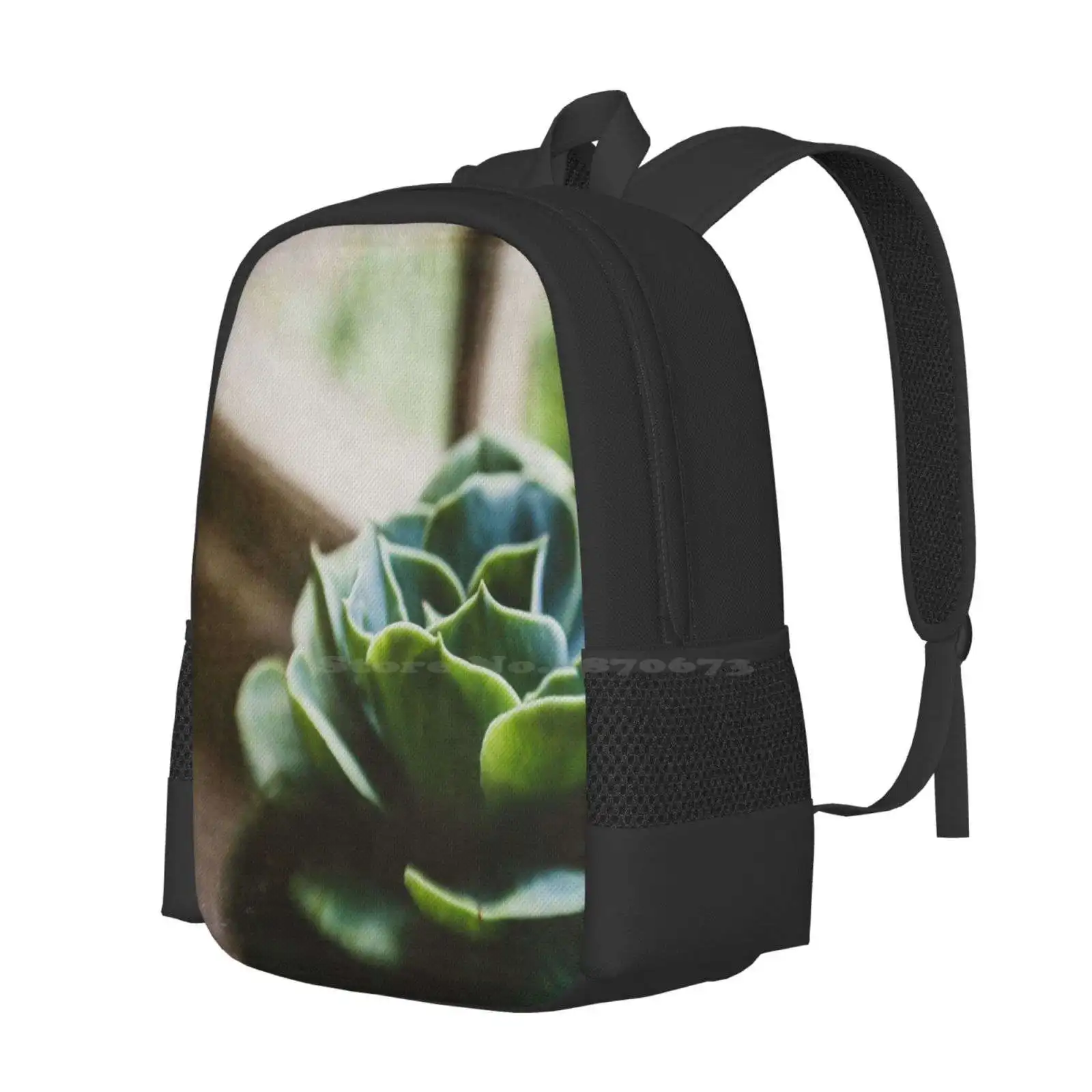 Succulent In The Window Hot Sale Backpack Fashion Bags Succulent Window Ledge Window Sill House Plant Indoors Green Phootgraph