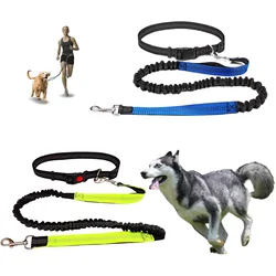 Reflective Leash Traction Rope Pet Dog Running Belt Elastic Hands Freely Jogging Pull Dog Leash Metal D-ring Leashes Harness