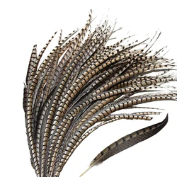 ZPDECOR 40-45cm 16-18 pollici Lady Amherst Tail fagiano piume