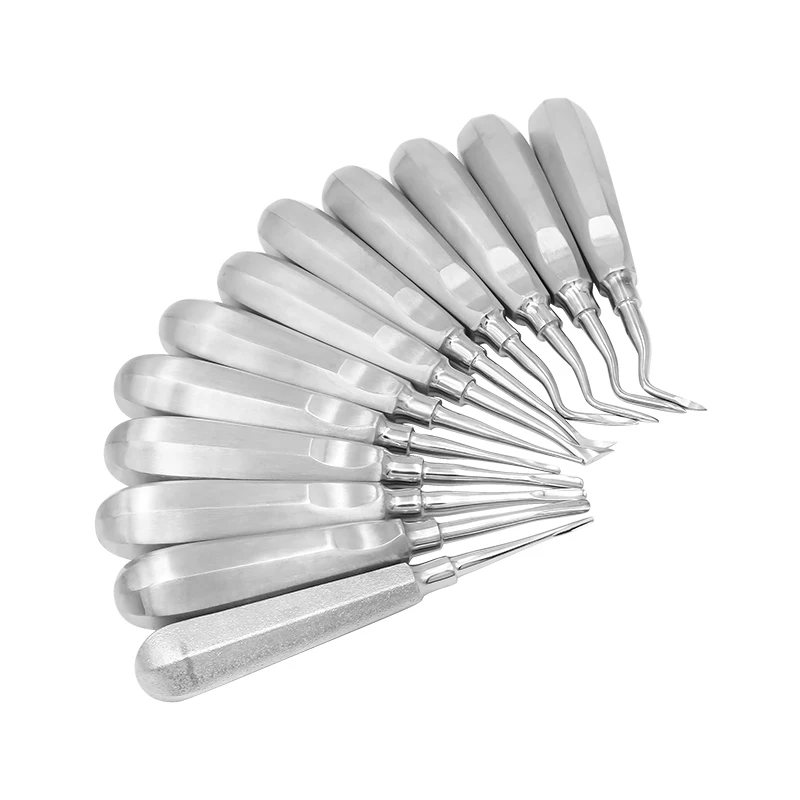 Stainless Steel Dental Elevator Kit with Curved Root And Straight Elevators Dentist Tools Dental Lab Instrument Handle