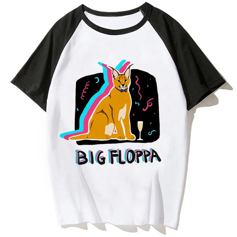 

floppa