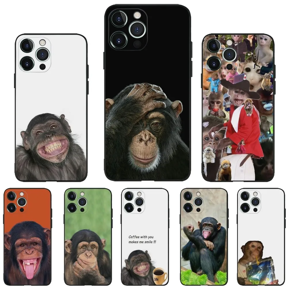 Monkey Sipping Caprisun Meme Phone Case For iPhone 16,15,14,13,12,11,Plus,Pro Max,XS,X,XR,SE,Mini,8,7 Soft Silicone Black Cover