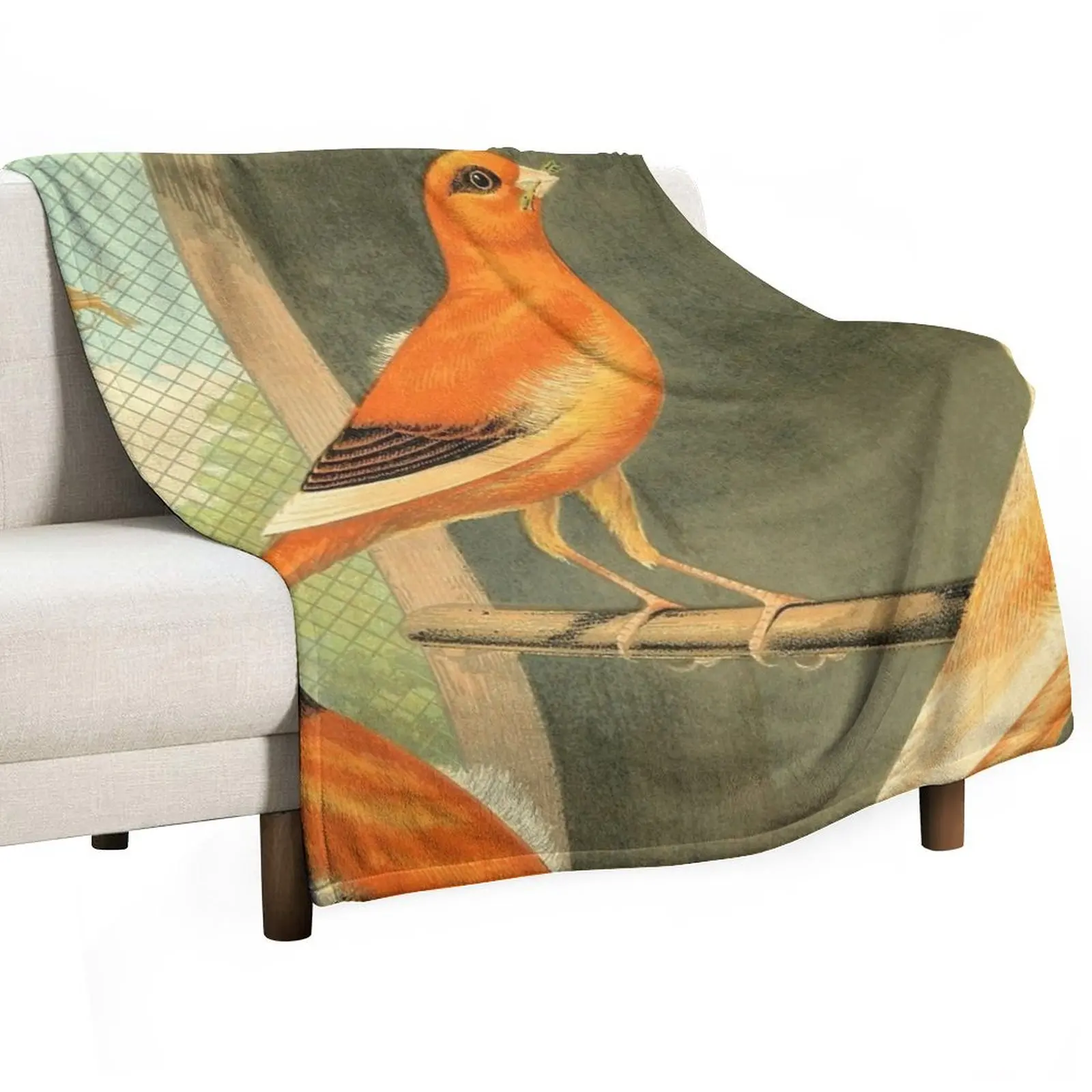 Norwich Canaries Cage Birds Art Prints Old Painting Antique Drawing Throw Blanket Loose Fluffy Shaggy Blankets