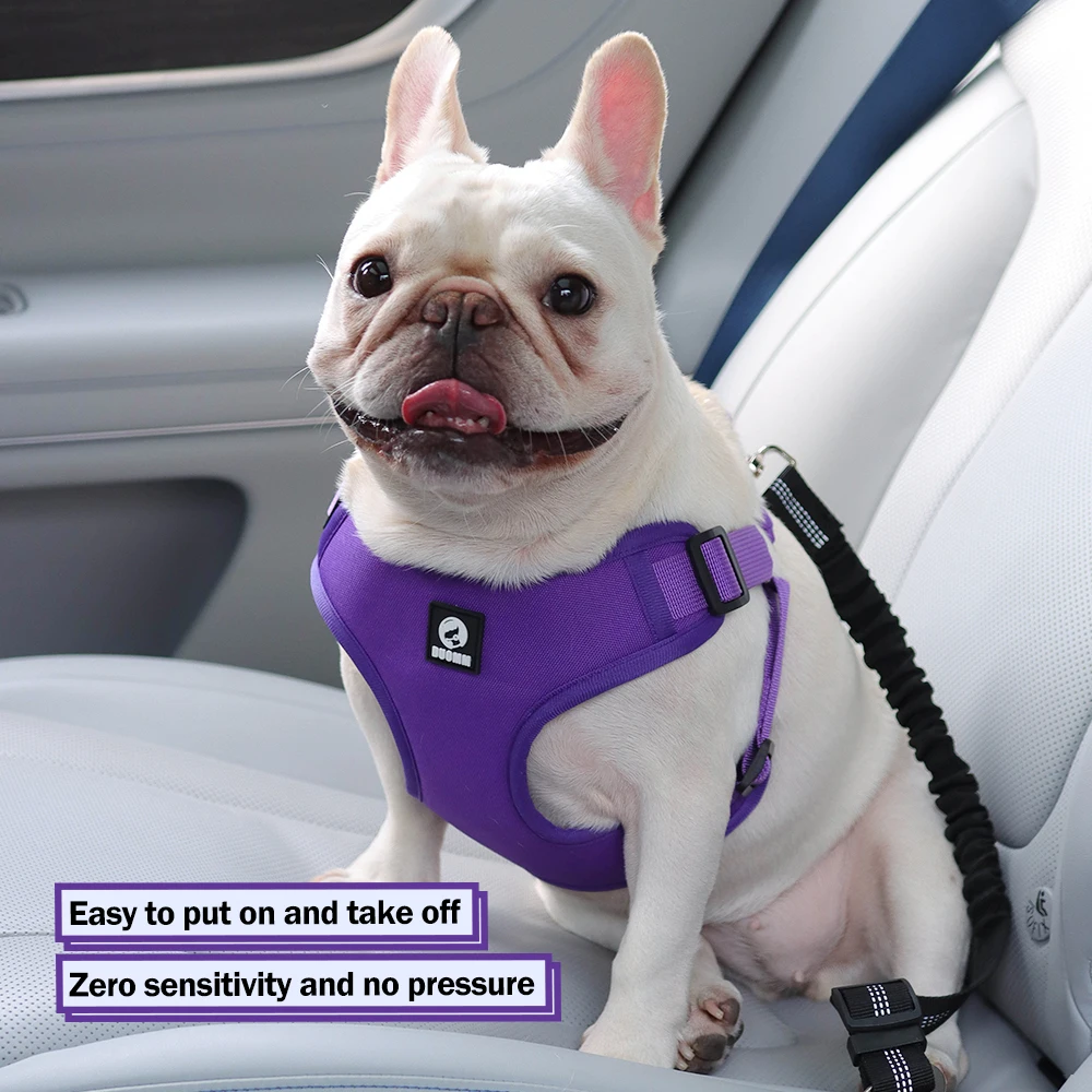 #5 Ranked Puppy Seat Belt Harness Picks in 2026