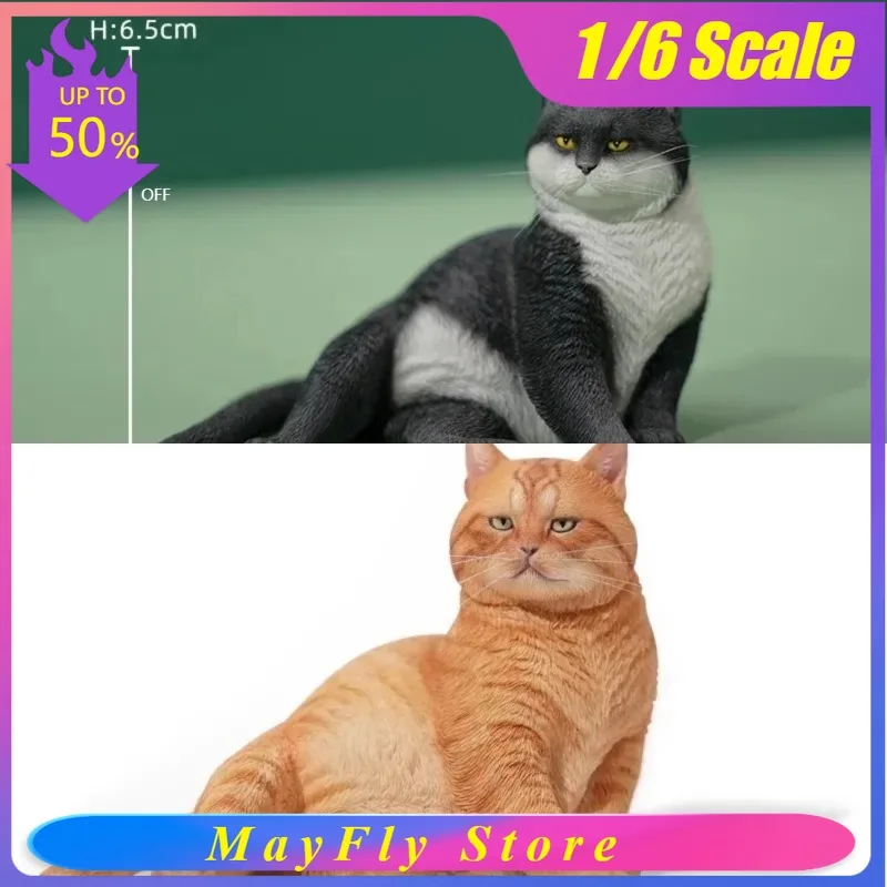 JXK 1/6 Scale Resin Lovely Cat Animal Simulation Model Toys for 12'' Toy Figures Doll Desktop Ornament Accessories in Stock