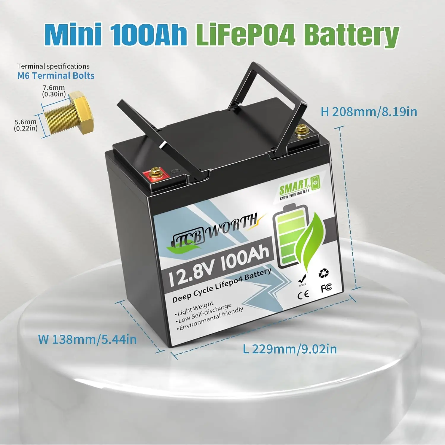 12V 100Ah LiFePO4 Battery with Bluetooth BMS & Low-Temp Protection for RV, Solar, Boat, Trolling Motor, Customized