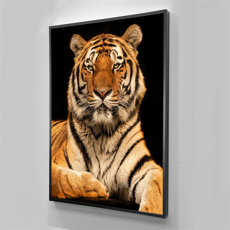 Affiche moderne de tigre d'animal discutant léopard HD imprime, peinture de toile, art de mur, gérer pour le salon, décoration à la maison, peinture murale