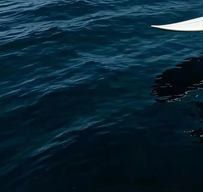 780 Hydrofoil Wing for Wave Rail Surfing Long Arc Turns Speed Retention Smooth Carving Performance