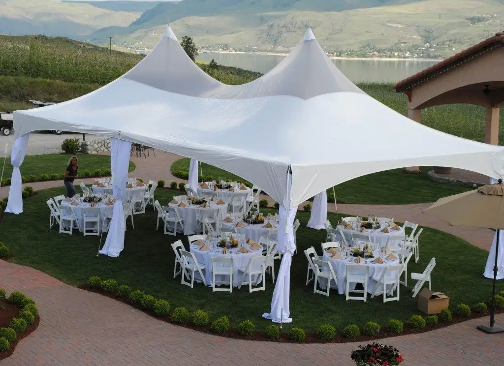 Custom Trade Show Factory Price Outdoor Garden White Waterproof Tent Decoration Canopy Tent for Sale