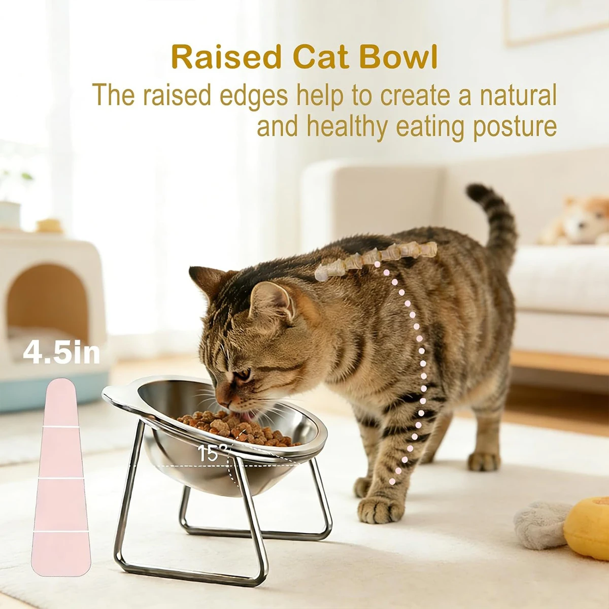 Thumbnail 4 - #17 Cheap Pet Bowls Worth Buying