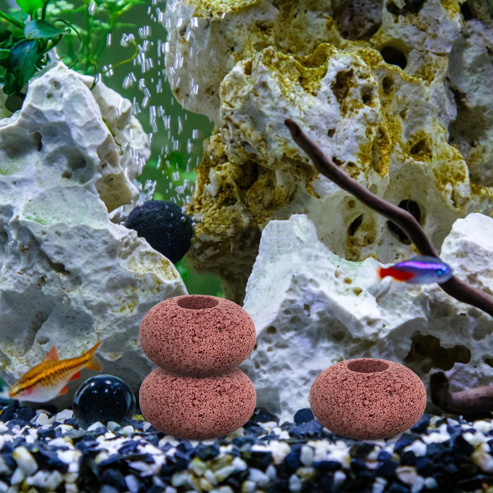 

6Pcs Volcanic Rock Aquatic Planting Rings Fish Tank Aquarium Decor Volcano Fish Tank Accessories Landscape Decoration