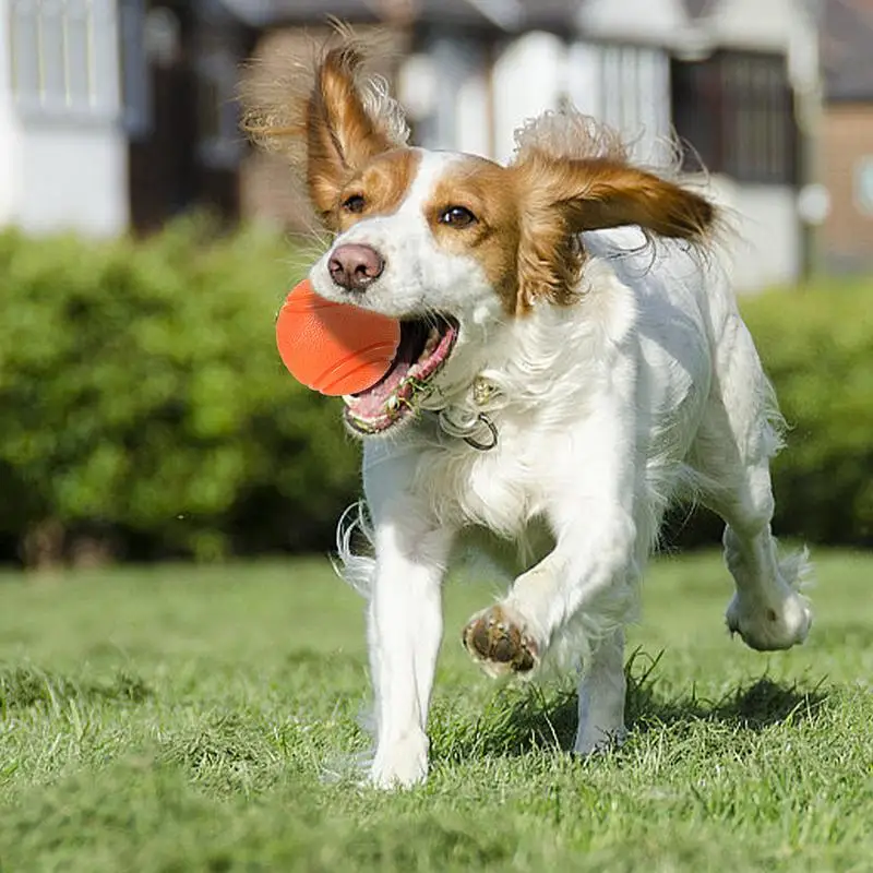 Dog Balls For Aggressive Chewers Interactive Dog Toy Dog Chew Toy Interactive Dog Toy Floating Dog Ball Dog Water Toy Fetch Ball