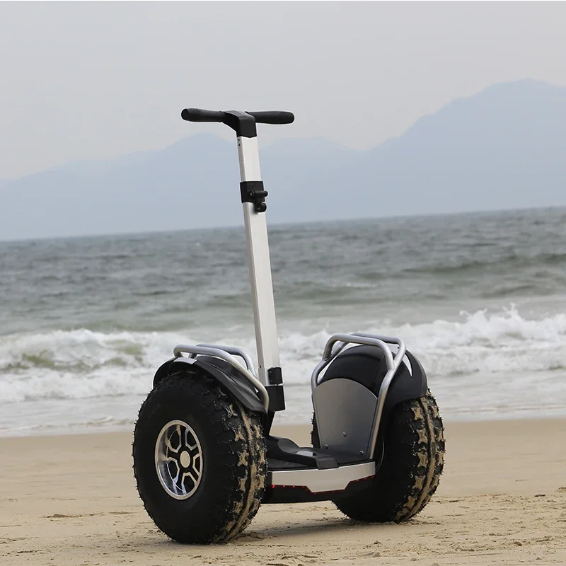 Dual Motor 3000W Off Road 20 inch fa Tire Two Wheel Self Balancing Electric Mobility Scooter