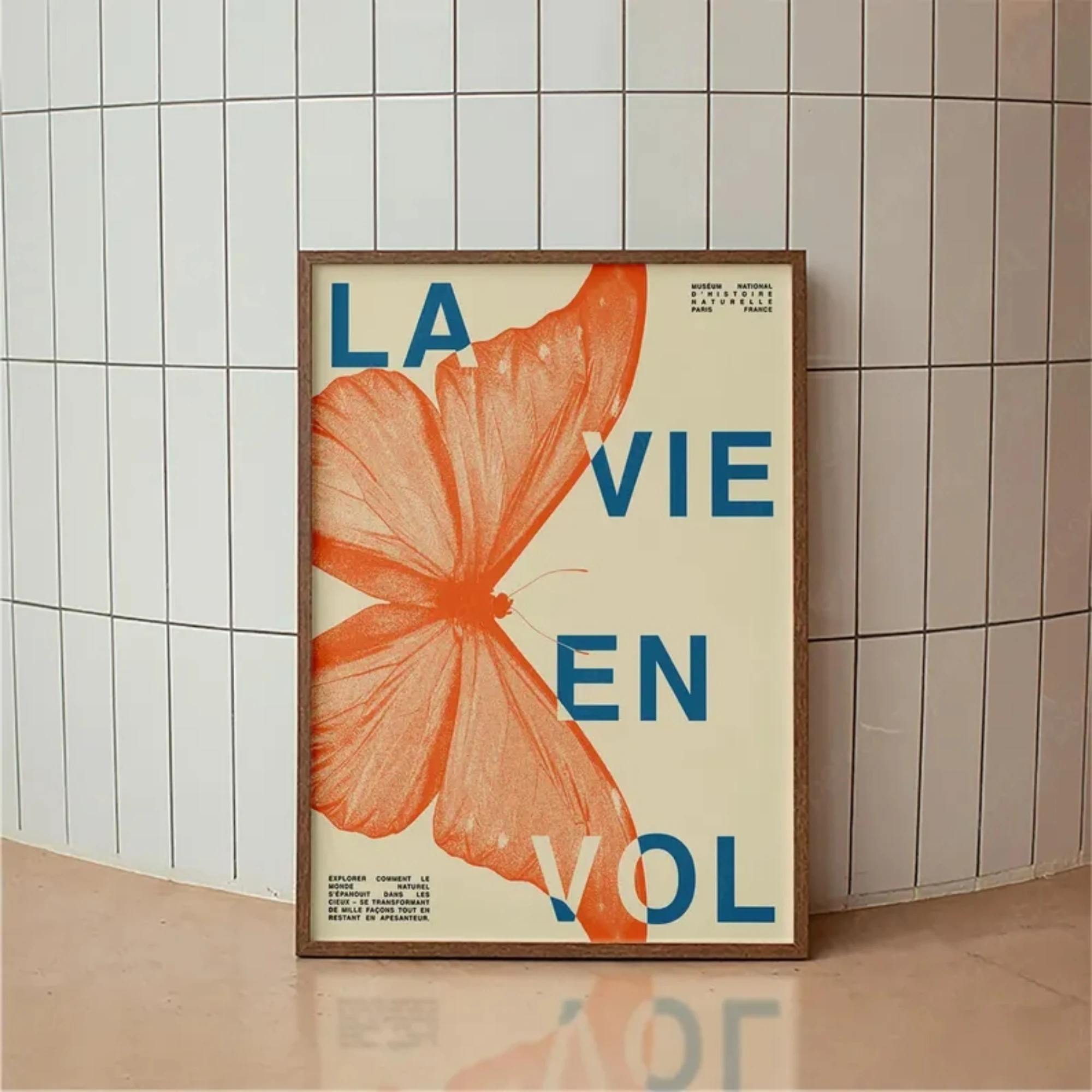 Mid-Century Modern French Butterfly Ausstellungs-Wandkunstdruck, Leinwandgemälde, Poster, Bild für Wohnzimmer, Schlafzimmer, Heimdekoration