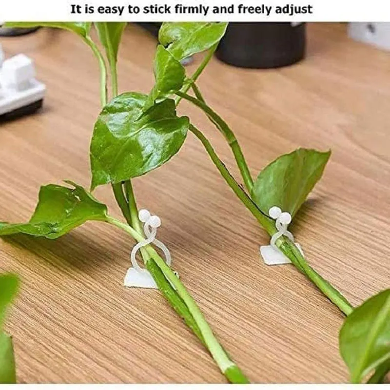 10PCS Plant Climbing Wall Fixture Clips Plant Fixer Self-Adhesive Hooks Invisible Wall Fixing Clip Vines Holder for Home Decor