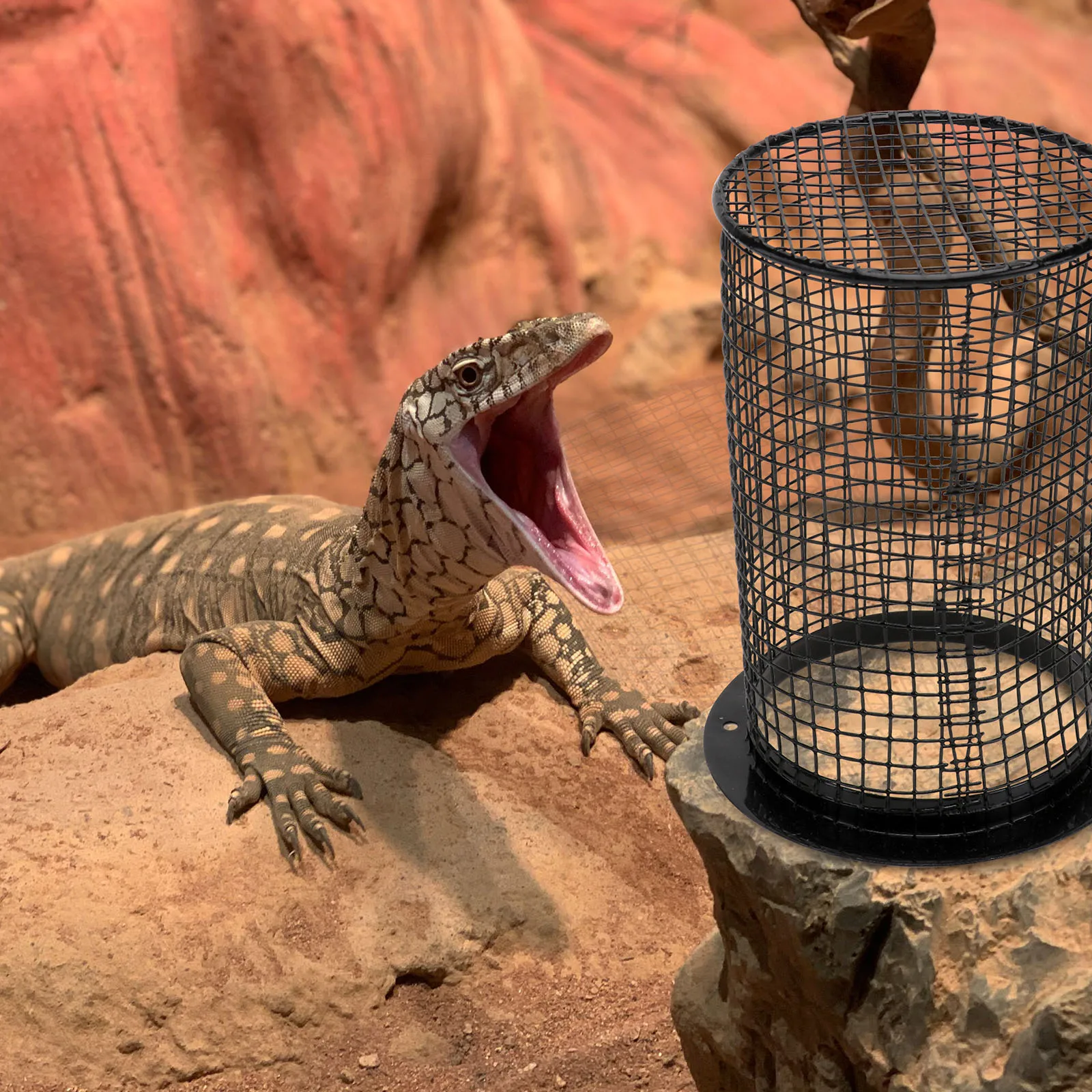 

Household Reptile Lampshade Terrarium Anti- Scald Mesh Iron Heating for Reptiles