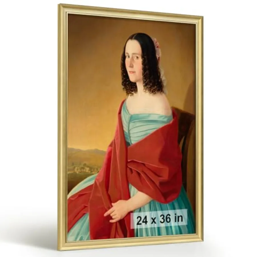 

Brushed 24x36 Frame Poster Frame with Brushed Finish Picture Frame for 24 x 36 Artwork Canvas Prints Puzzles and Wall Decor