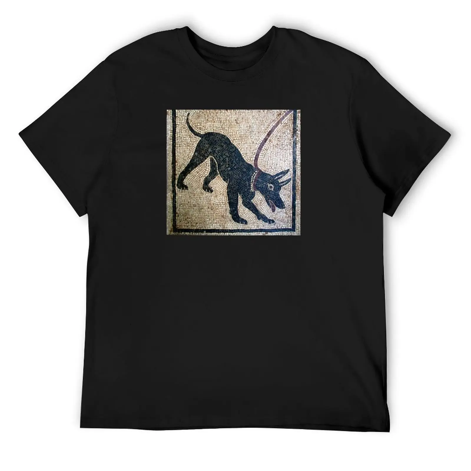 Cave canem- ancient Pompeii T-Shirt oversizeds summer clothes anime figures graphic shirts Men's t-shirts