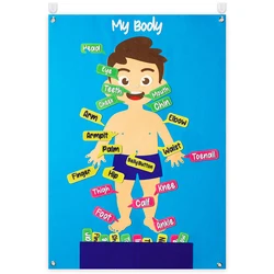 35Pcs Body Awareness Full Felt Storyboard Set Cartoon Kid Physical Cognitive Hanging Backdrop Classroom Puzzle Interactive Games