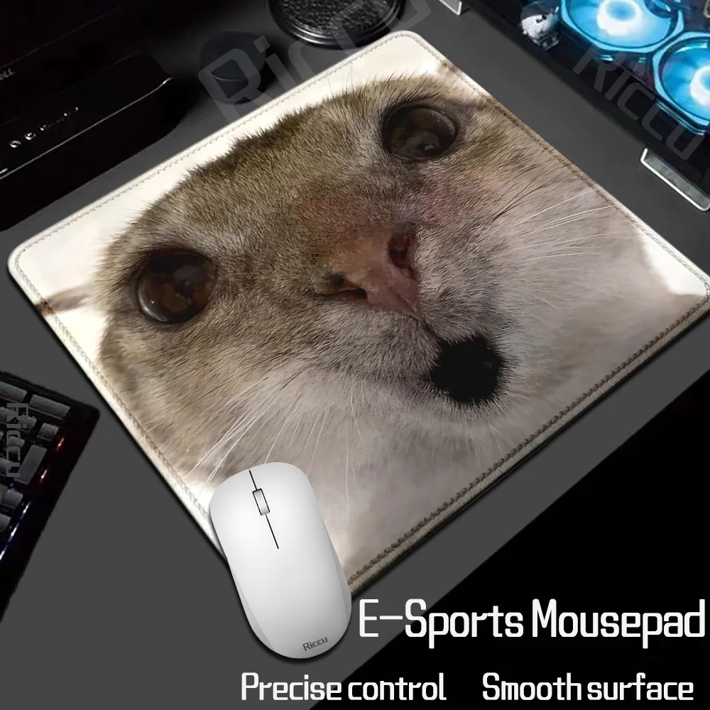 HD XL Kawaii Modische Beliebte Lustige Niedliche Katze Kleine Größe Meme Mauspad Laptop Büro Anime Mausunterlage Gummi Tastaturunterlage Schreibtischunterlage – Detail 9