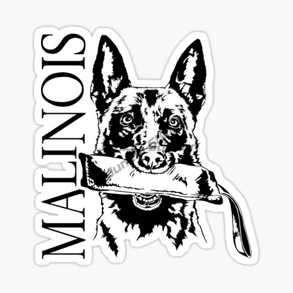 

Belgian Malinois Dog Car Sticker Vinyl Autohesion Waterproof Decal