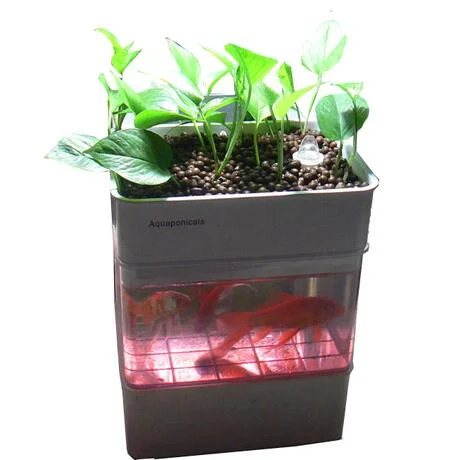 New Water Garden Fish Bowl Aquarium Tank Complete Growing Systems Vertical Hydroponic Hydroponics Office Plants