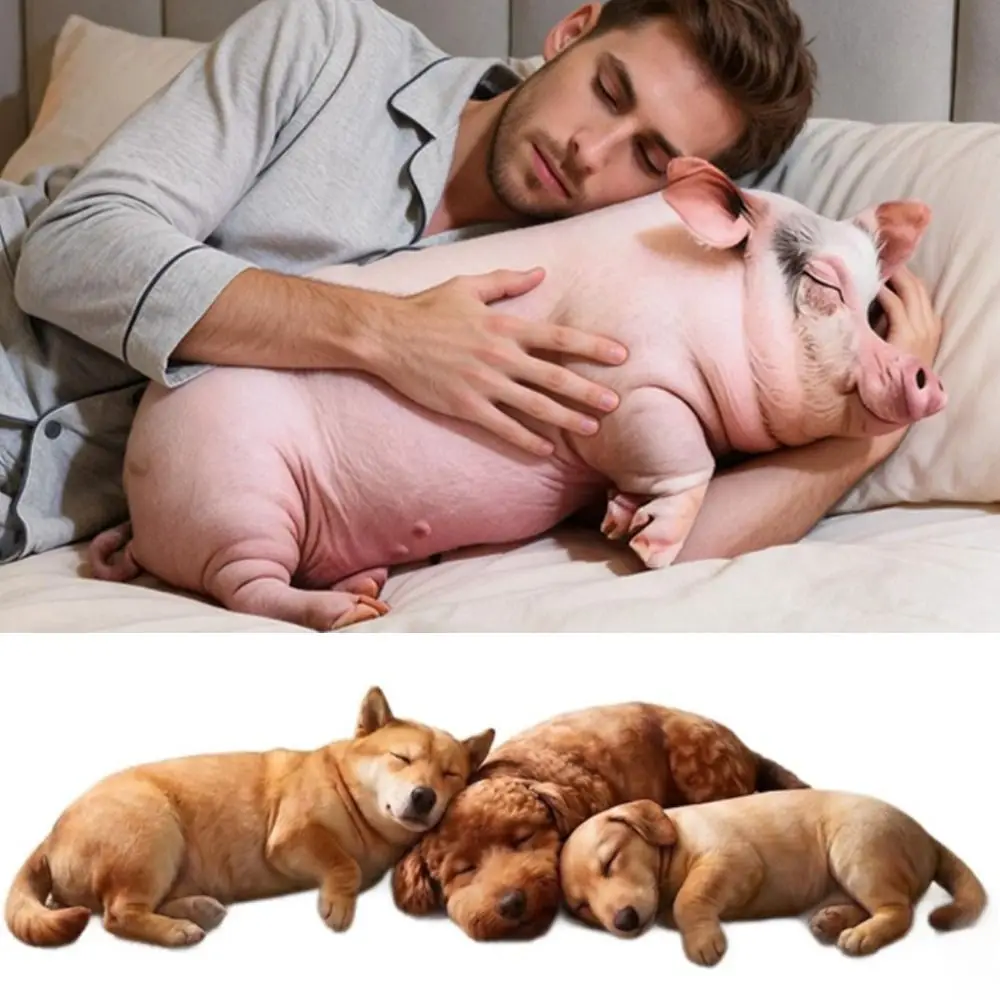 Material Animal Body Pillow PP Cotton Filled 40cm Size Poultry Throw Pillows Soft Texture Cute Design Bag Decoration For