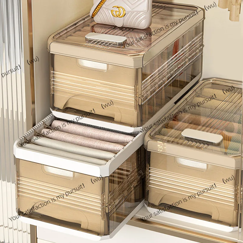 الذهبي القط الملابس السراويل الطبقات صندوق تخزين تخزين قطعة أثرية درج شبكة صندوق المنزلية تنظيم خزانة الطبقات سلة