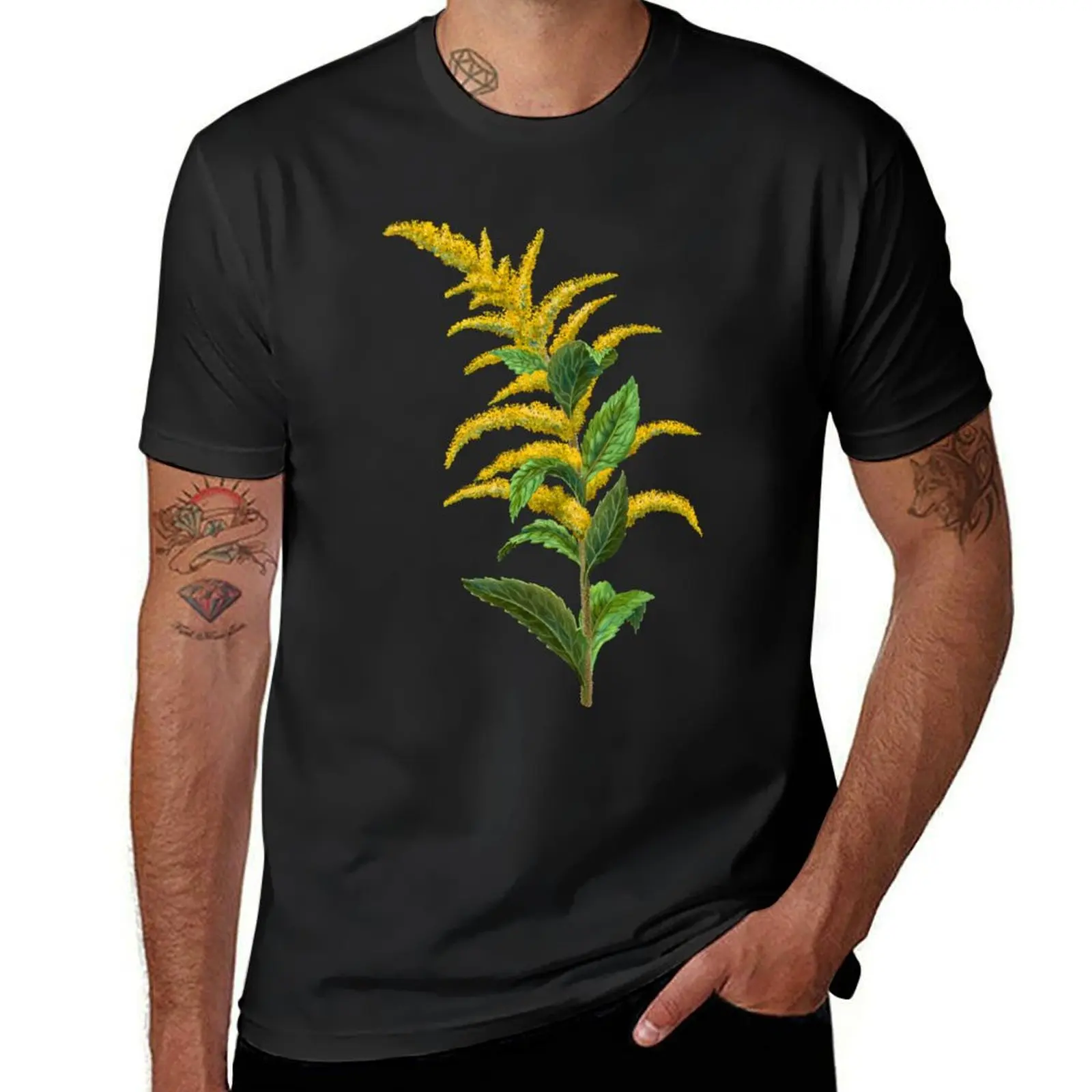 Wrinkleaf Goldenrod Rough-stemmed Goldenrod Scientific Illustration T-Shirt korean fashion plain oversized Men's t shirts