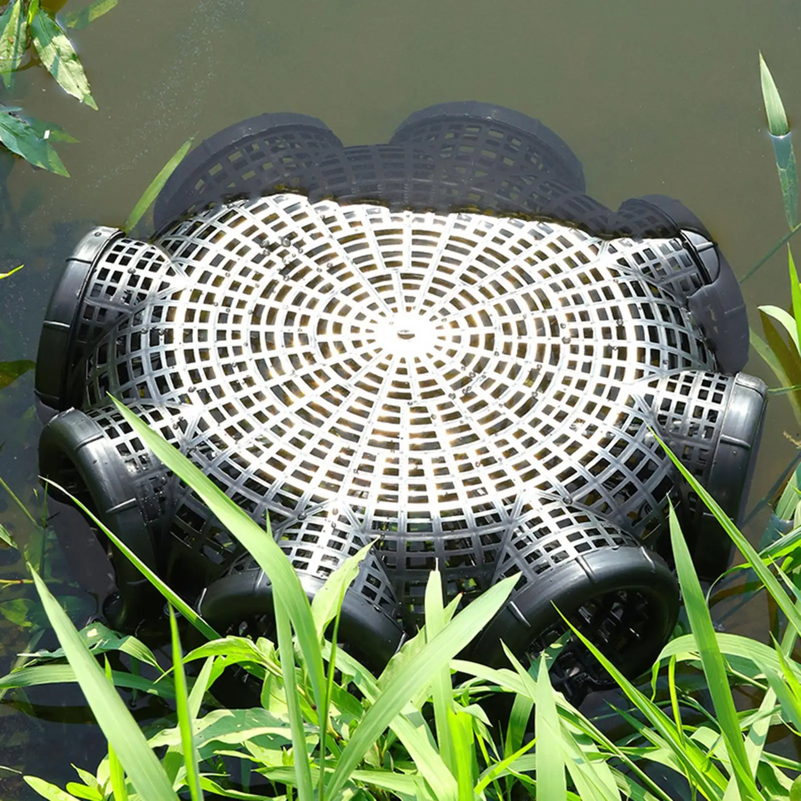 قفص صيد قابل للطي ، قفص لوش ، قفص تراجع ، قفص جمبري للأسماك ، إكسسوارات صيد كراوداد