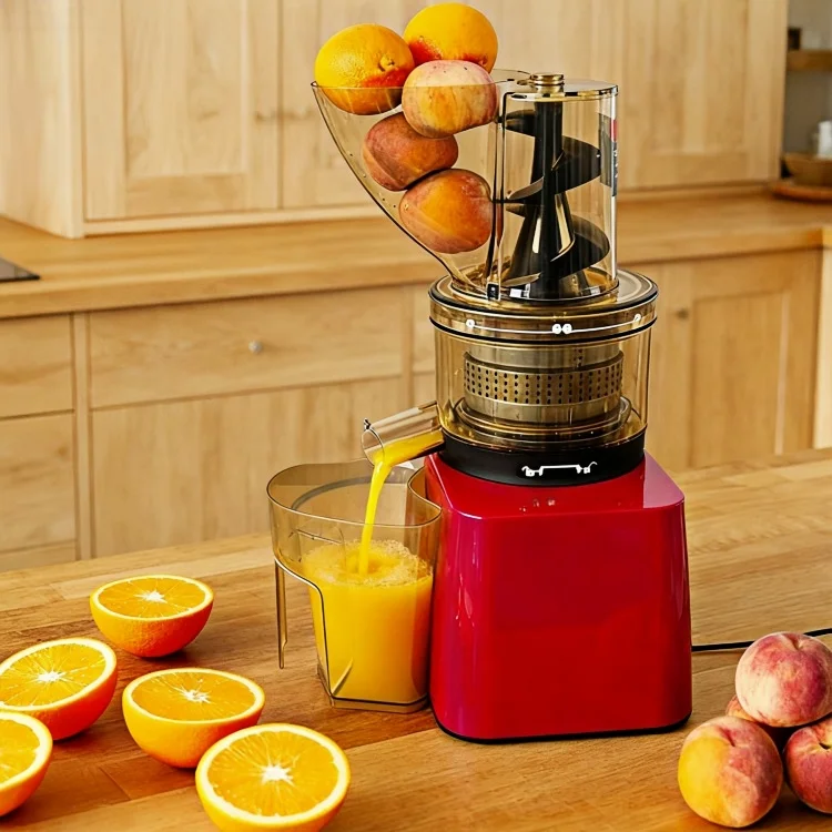 Portable juicer for fresh fruit and vegetable juices with a durable and compact design