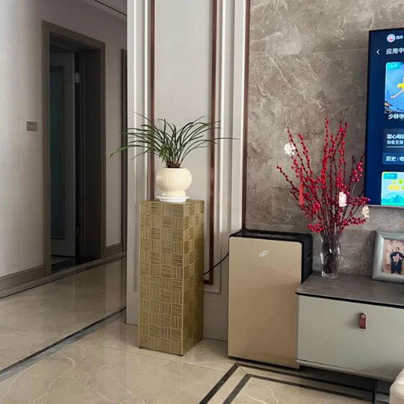 Organizzatore in metallo Armadi da soggiorno Display di stoccaggio Vanity Office Armadi da soggiorno Giardino Nordic Gabinete Mobili alla moda