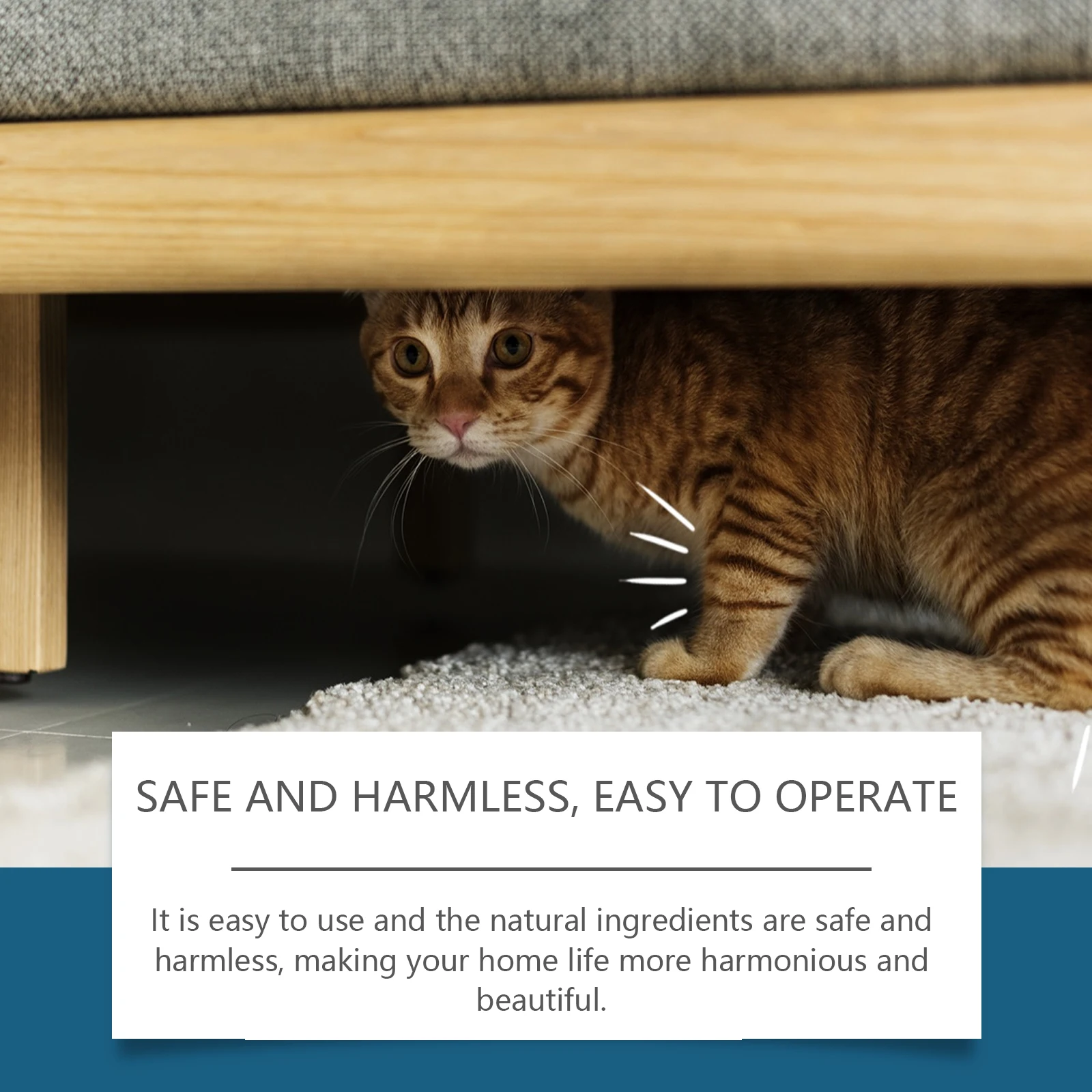 Yegbong Indoor Cat Repellent Spray,Pet Repellent To Prevent Cats From Getting Into Bed Or Causing Damage,Pet Training Supplies 5