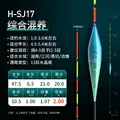 H SJ17