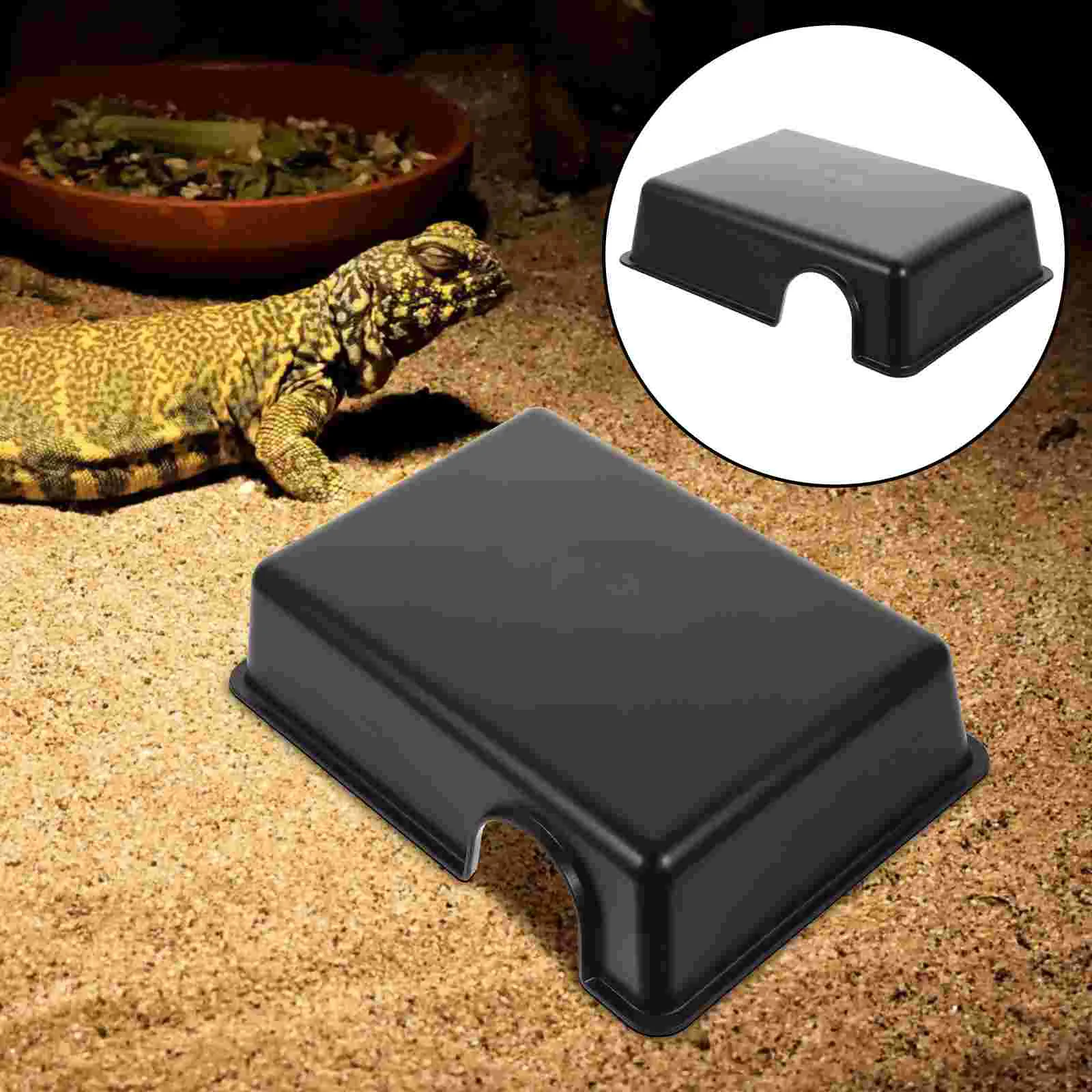 

Spider Reptiles Hide from Caves The Animal Plastic Humidifier Natural Scenery Producer