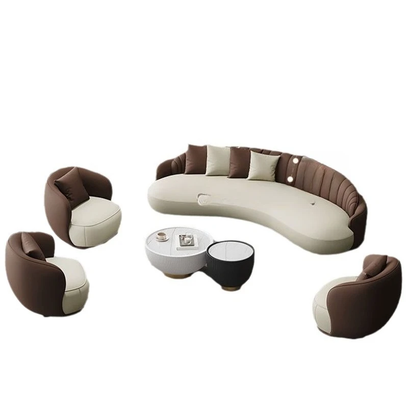 

simplicity, reception room meeting guests to discuss anti-cat claw technology, leather beauty salon, curved minimalism