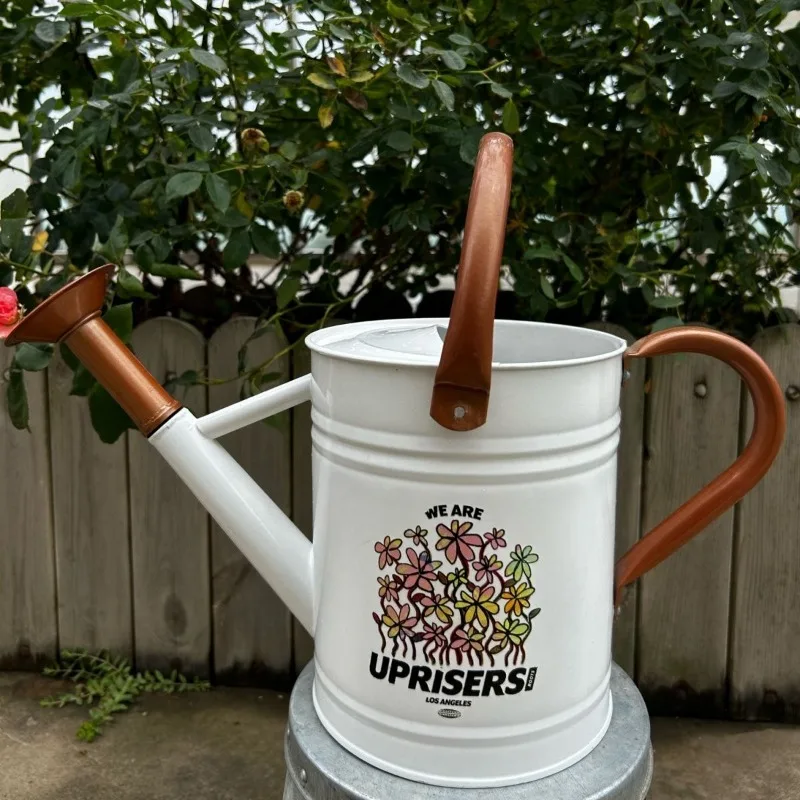 

Simple Large Capacity Ferrous Water Cans Luxury Multifunctional Long Mouthed Cans Modern Creative Courtyard Garden Supplies