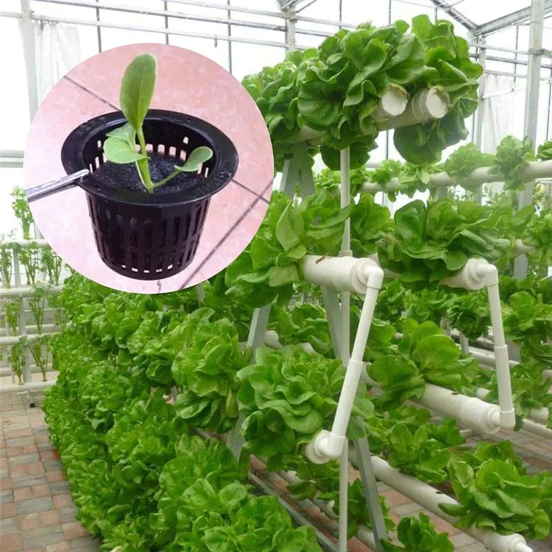 100 szt. Czarne Plastikowe Kosze Mocujące Ogrodnicze Bezglebowe Siatkowe Kubki do Roślin, Doniczki, Wiaderka, Kosze do Hydroponiki-AT36