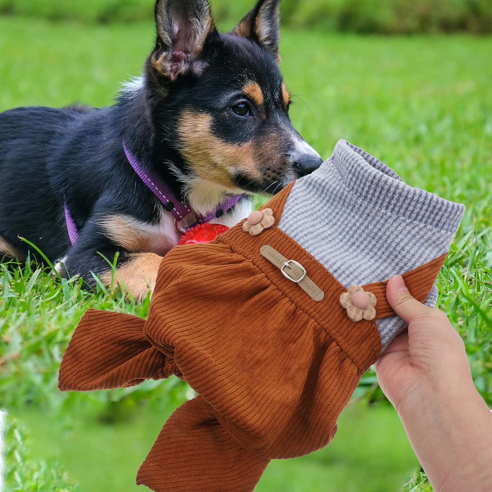 

Corduroy Pet Garment for Small Dogs Striped Costume Reduces Hair Fall Pet Clothing Dog Wear Adorable Design Dog Wear