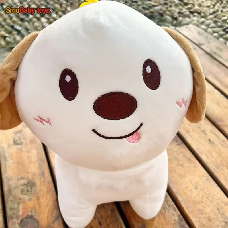 40cm Kpop RIIZE Grand Doll Pillow Embroidered Plush Cartoon Toy SHOTARO EUNSEOK SUNGCHAN WONBIN SEUNGHAN SOHEE ANTON Fans Gifts