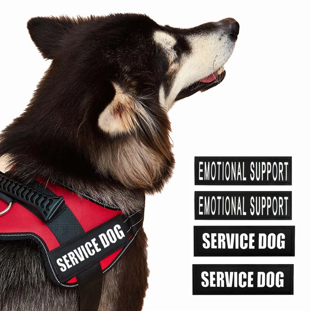 Reflektierendes Hundegeschirr, Weste, Aufnäher, ID, individuell, ohne Ziehen, atmungsaktiv, verstellbar, Haustiergeschirr für Hunde, Outdoor-Walking, Hundebedarf – Detail 14