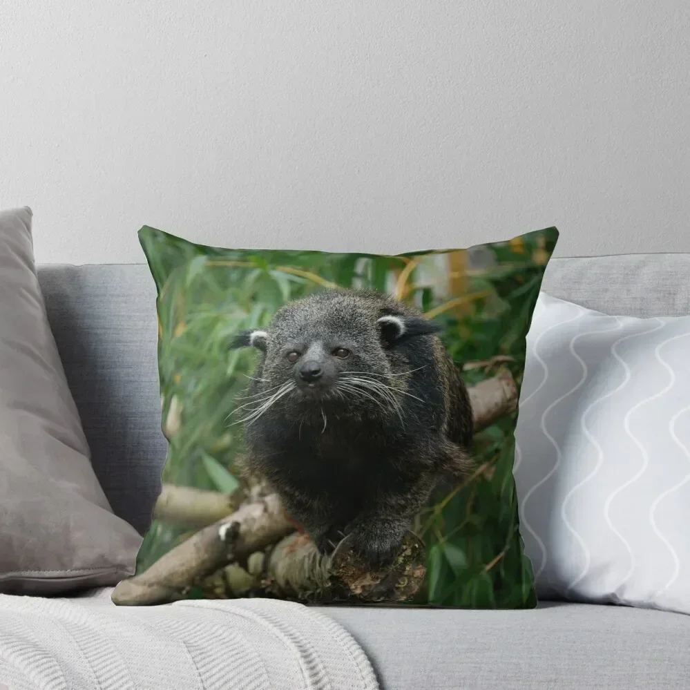 Binturong Throw Pillow Pillowcase Cushion Pillowcases Cushion Covers Sofa pillow