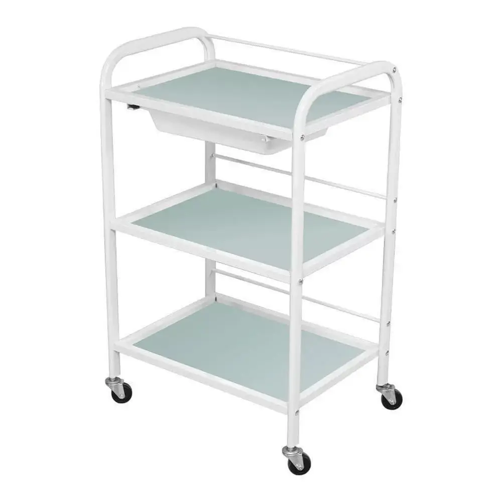3-Tier Rolling Salon Cart for Beauty Professionals with 4 Wheels - Storage Trolley for Estheticians and Barbers