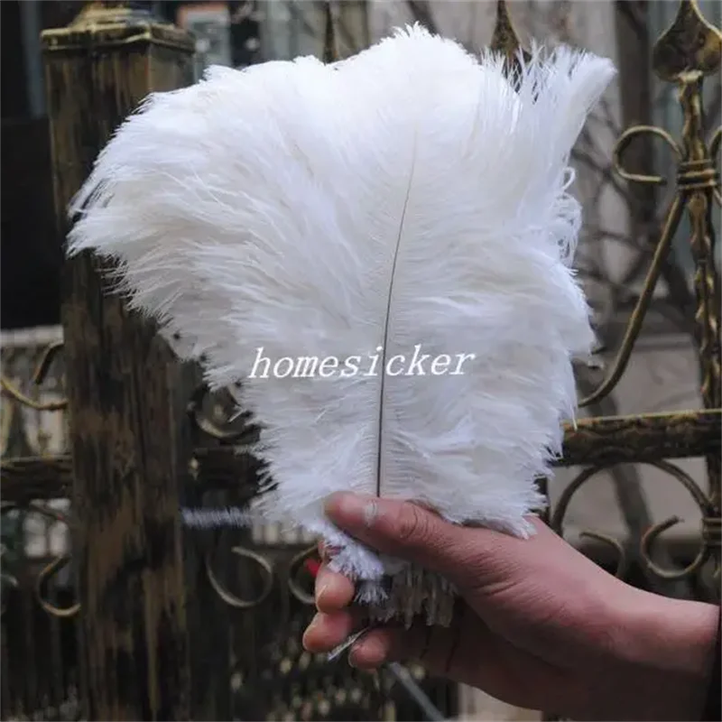 

Wholesale 100pcs 8-10" White Fancy Ostrich Feather Plume for Making Feather Accessories or Decoration