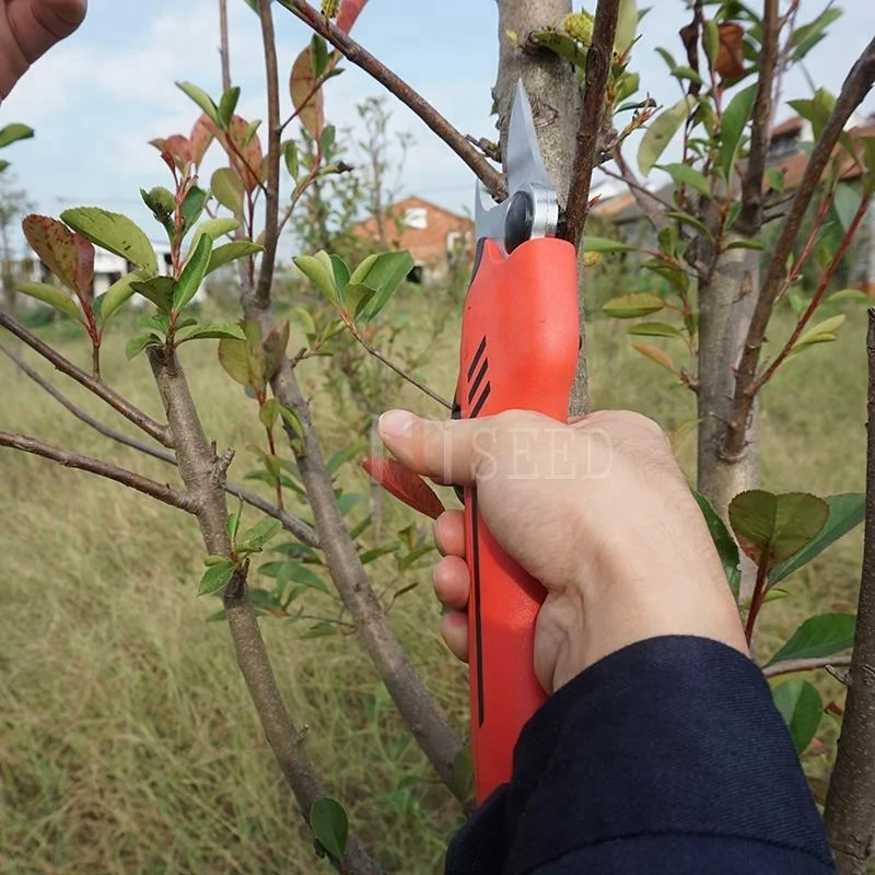 2025 مقص العنب مقصات التقليم مقص الكرم الكهربائي فرع قطع مقص أدوات تطعيم الحديقة الكهربائية
