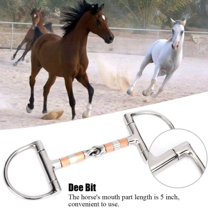 Snaffle para caballos, anillo en D de acero inoxidable, masticable para caballos, enlace francés, broca gruesa suelta, broca de boca suelta con rodillos de cobre para caballos