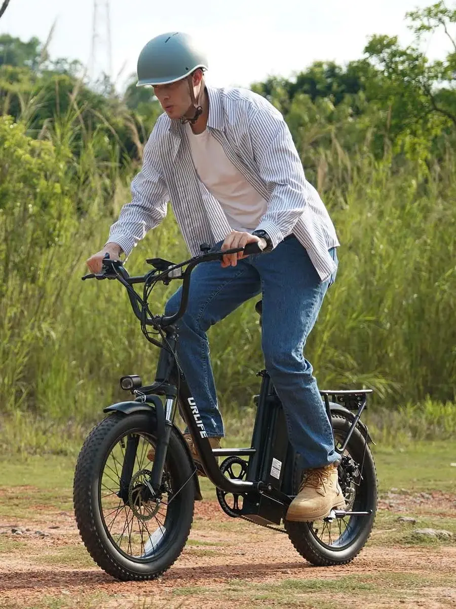 AliExpress URLIFE E20 Adult  Electric Bicycle 250W Motor ebike 48V 13Ah Battery Commute Electric Bike 20-inch Fat Tire city E-bike